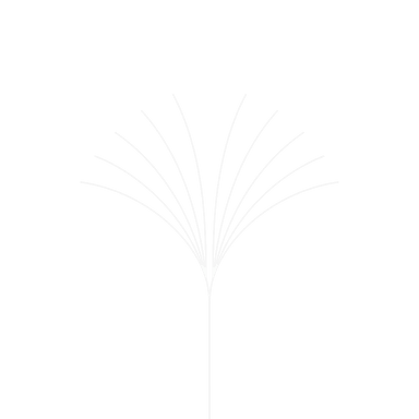 Beginning the Journey